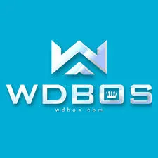 WDBOS - Pengalaman Mendebarkan dalam Game FPS
